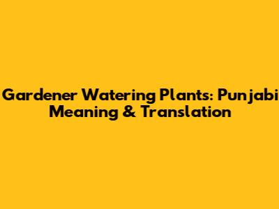 Gardener Watering Plants: Punjabi Meaning & Translation