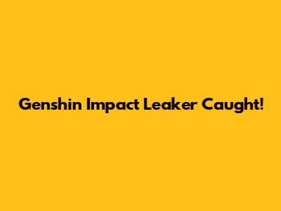 Genshin Impact Leaker Caught!