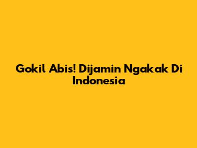 Gokil Abis! Dijamin Ngakak Di Indonesia