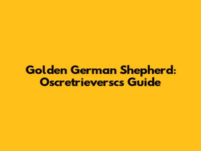 Golden German Shepherd: Oscretrieversc's Guide