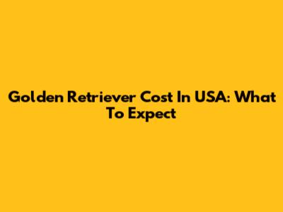 Golden Retriever Cost In USA: What To Expect