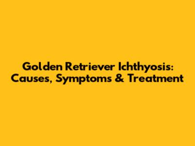 Golden Retriever Ichthyosis: Causes, Symptoms & Treatment