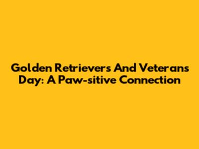 Golden Retrievers And Veterans Day: A Paw-sitive Connection
