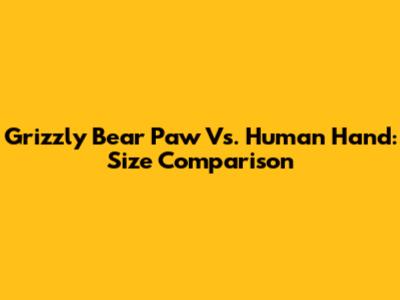 Grizzly Bear Paw Vs. Human Hand: Size Comparison