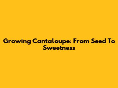 Growing Cantaloupe: From Seed To Sweetness