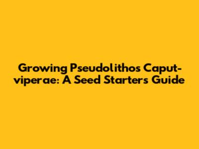 Growing Pseudolithos Caput-viperae: A Seed Starter's Guide