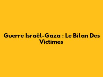 Guerre Israël-Gaza : Le Bilan Des Victimes