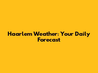 Haarlem Weather: Your Daily Forecast