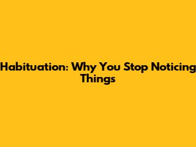 Habituation: Why You Stop Noticing Things