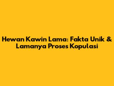 Hewan Kawin Lama: Fakta Unik & Lamanya Proses Kopulasi