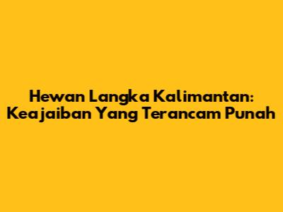 Hewan Langka Kalimantan: Keajaiban Yang Terancam Punah