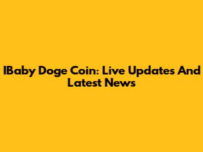 IBaby Doge Coin: Live Updates And Latest News