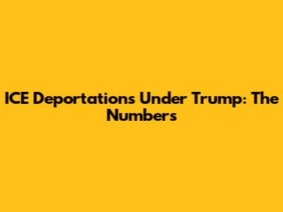 ICE Deportations Under Trump: The Numbers