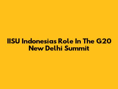 IISU Indonesia's Role In The G20 New Delhi Summit