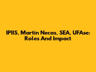 IPIIS, Martin Necas, SEA, UFAse: Roles And Impact