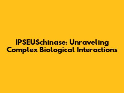 IPSEUSchinase: Unraveling Complex Biological Interactions