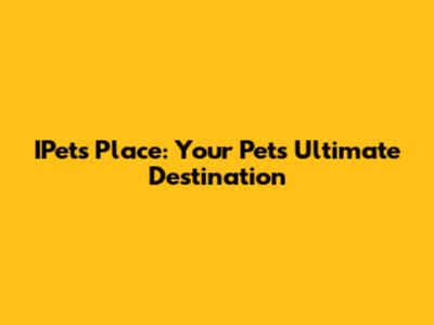 IPets Place: Your Pet's Ultimate Destination