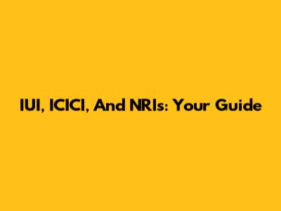 IUI, ICICI, And NRIs: Your Guide