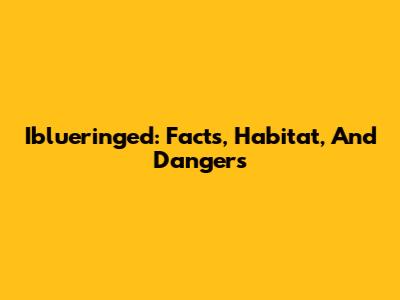 Iblueringed: Facts, Habitat, And Dangers