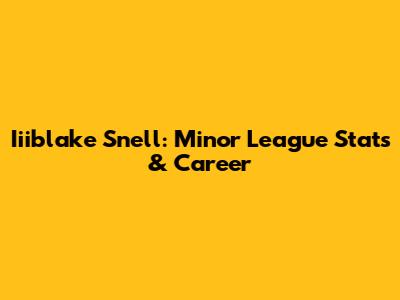Iiiblake Snell: Minor League Stats & Career