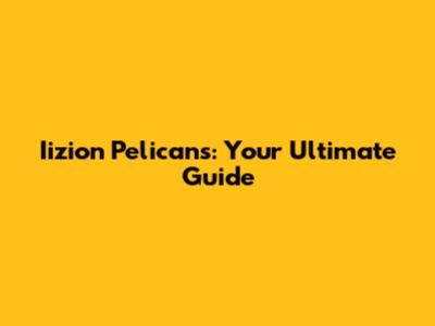 Iizion Pelicans: Your Ultimate Guide