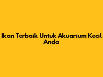 Ikan Terbaik Untuk Akuarium Kecil Anda