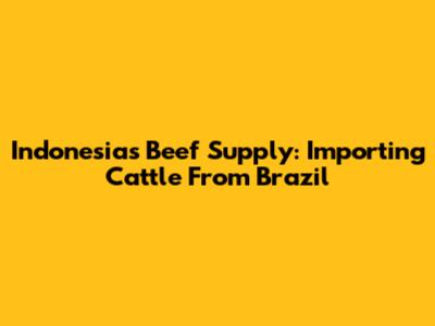 Indonesia's Beef Supply: Importing Cattle From Brazil