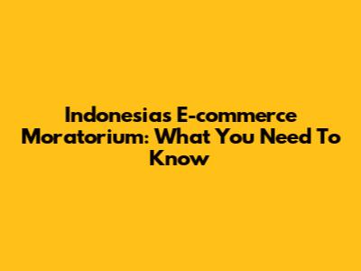 Indonesia's E-commerce Moratorium: What You Need To Know