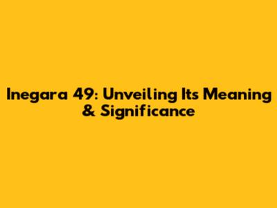 Inegara 49: Unveiling Its Meaning & Significance