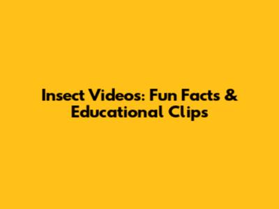 Insect Videos: Fun Facts & Educational Clips