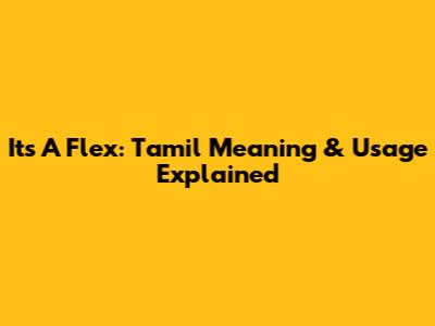 It's A Flex: Tamil Meaning & Usage Explained