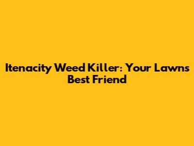 Itenacity Weed Killer: Your Lawn's Best Friend