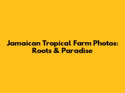 Jamaican Tropical Farm Photos: Roots & Paradise