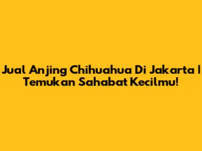 Jual Anjing Chihuahua Di Jakarta | Temukan Sahabat Kecilmu!
