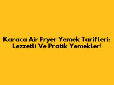 Karaca Air Fryer Yemek Tarifleri: Lezzetli Ve Pratik Yemekler!