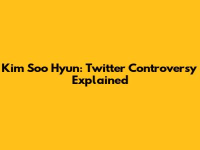 Kim Soo Hyun: Twitter Controversy Explained