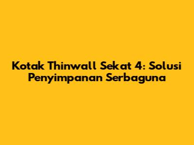 Kotak Thinwall Sekat 4: Solusi Penyimpanan Serbaguna
