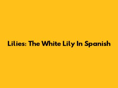 Lilies: The White Lily In Spanish