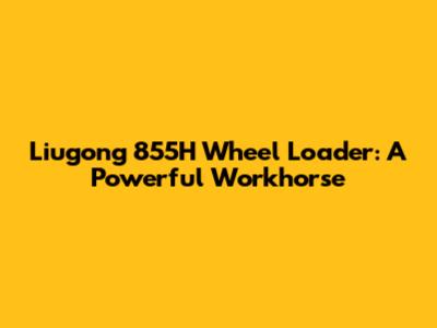 Liugong 855H Wheel Loader: A Powerful Workhorse