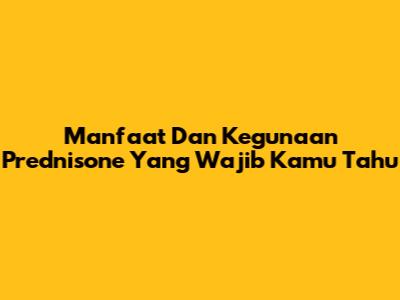 Manfaat Dan Kegunaan Prednisone Yang Wajib Kamu Tahu