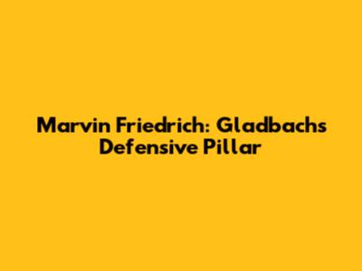 Marvin Friedrich: Gladbach's Defensive Pillar