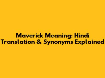 Maverick Meaning: Hindi Translation & Synonyms Explained