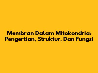 Membran Dalam Mitokondria: Pengertian, Struktur, Dan Fungsi