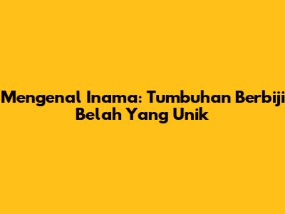 Mengenal Inama: Tumbuhan Berbiji Belah Yang Unik