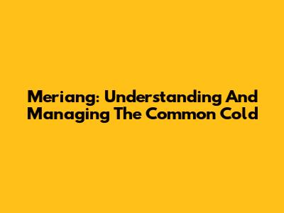 Meriang: Understanding And Managing The Common Cold