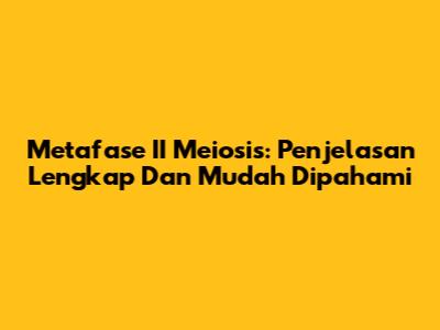 Metafase II Meiosis: Penjelasan Lengkap Dan Mudah Dipahami