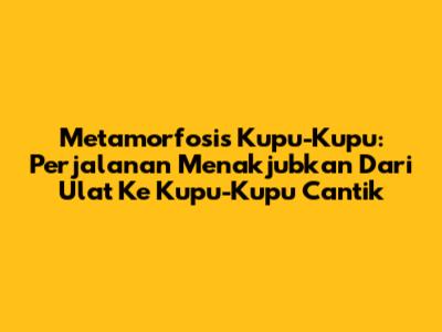Metamorfosis Kupu-Kupu: Perjalanan Menakjubkan Dari Ulat Ke Kupu-Kupu Cantik