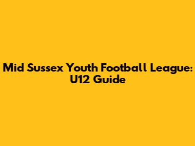 Mid Sussex Youth Football League: U12 Guide