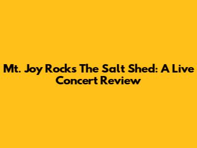 Mt. Joy Rocks The Salt Shed: A Live Concert Review