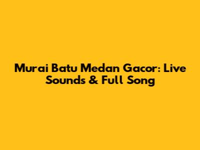 Murai Batu Medan Gacor: Live Sounds & Full Song
